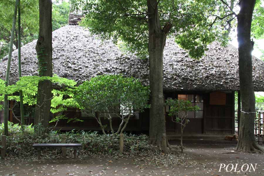 蘆花恒春園1